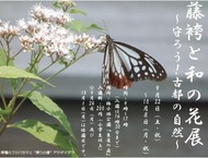 藤袴と和の花展　週末開催イベントのお知らせ